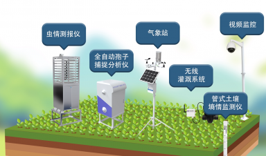 智慧農業創新方案，賦能農業現代化轉型新征程
